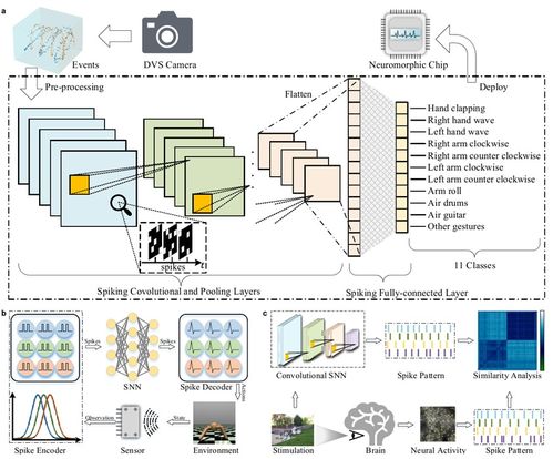 自动化所与北京大学合作开源深度脉冲神经网络学习框架spikingjelly