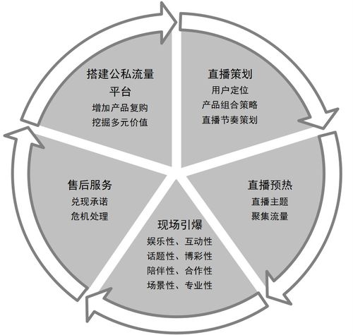 直播电商运作的 环状模型 研究